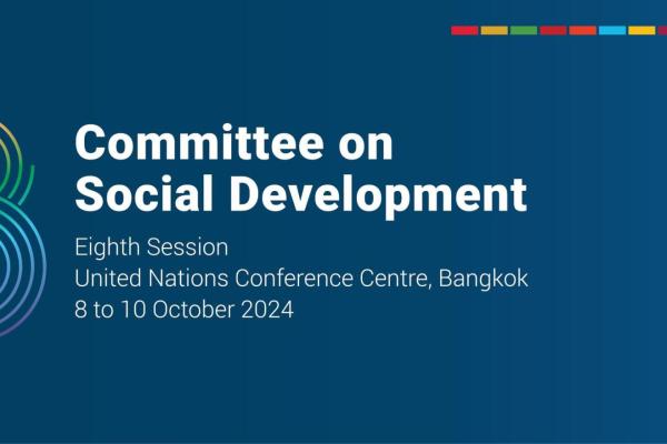 Committee on Social Development, Eighth Session